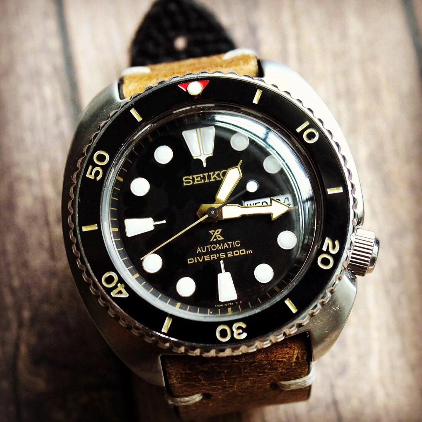 Ceramic Insert - SRP Turtle Red T Black X Gold - Image 6