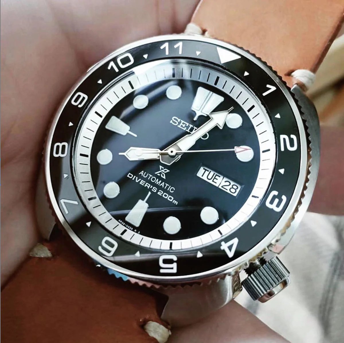 Sapphire Double Dome - SRP Turtle - Image 4